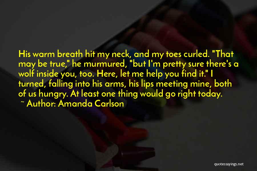 Meeting The Right One Quotes By Amanda Carlson