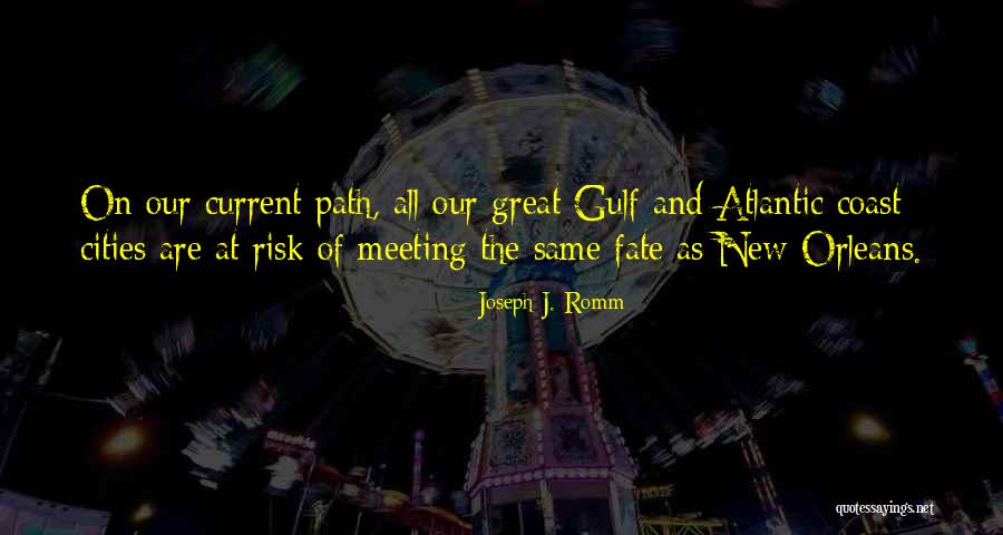 Meeting You Was Fate Quotes By Joseph J. Romm