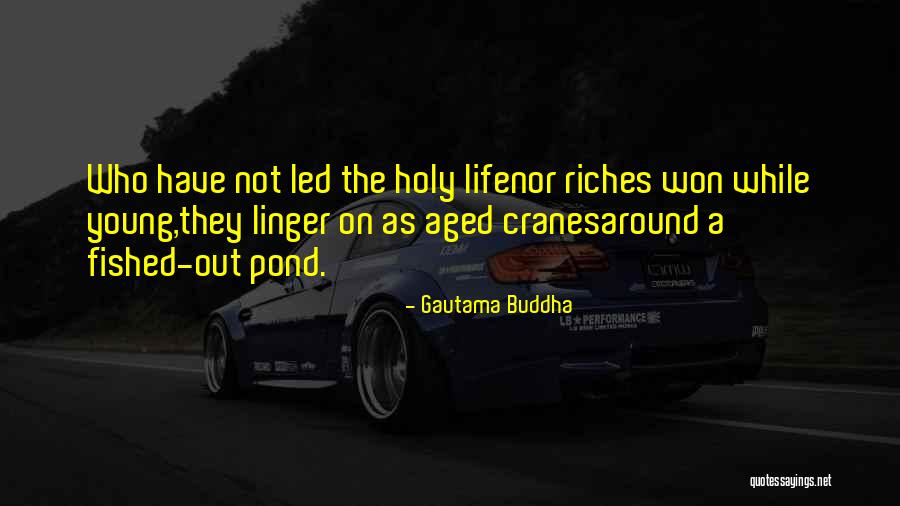 Meeting Your Best Friend After A Long Time Quotes By Gautama Buddha Meeting Your Best Friend After A Long Time Quotes By Gautama Buddha