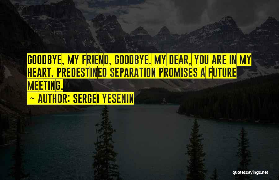 Meeting Your Best Friend Quotes By Sergei Yesenin