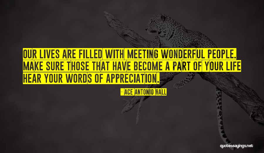 Meeting Your Love Quotes By Ace Antonio Hall Meeting Your Love Quotes By Ace Antonio Hall