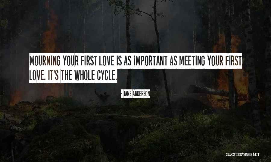 Meeting Your Love Quotes By Jane Anderson