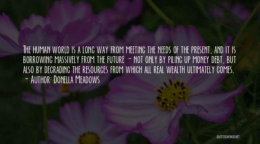 Meeting Your Needs Quotes By Donella Meadows