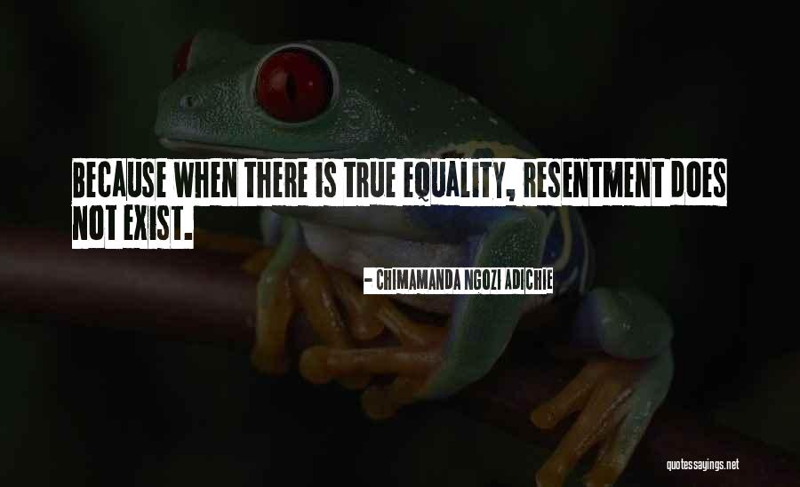 Meeussen Montage Quotes By Chimamanda Ngozi Adichie Meeussen Montage Quotes By Chimamanda Ngozi Adichie