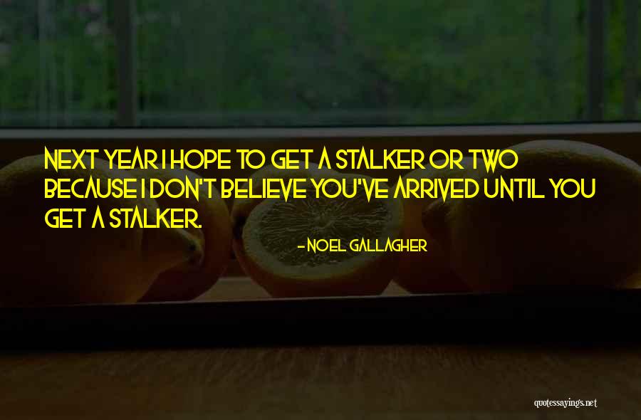 Meeuwen Volleyball Quotes By Noel Gallagher Meeuwen Volleyball Quotes By Noel Gallagher
