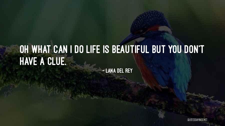 Meeuwsenvastgoed Quotes By Lana Del Rey Meeuwsenvastgoed Quotes By Lana Del Rey