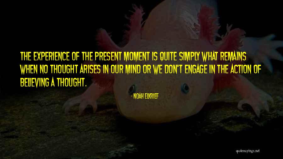 Mefford Motors Quotes By Noah Elkrief