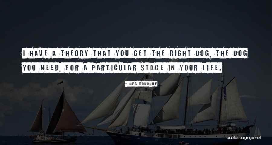 Meg Donohue Quotes 1037025 Meg Donohue Quotes 1037025