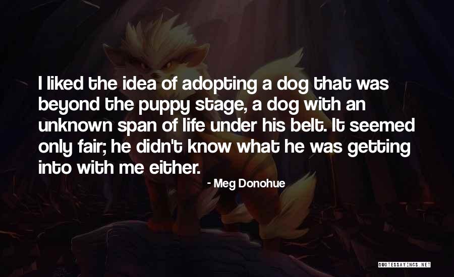 Meg Donohue Quotes 670961 Meg Donohue Quotes 670961