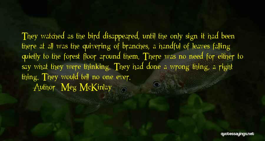 Meg McKinlay Quotes 1348146