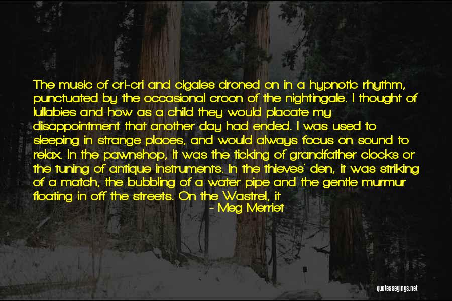 Meg Merriet Quotes 1660242 Meg Merriet Quotes 1660242