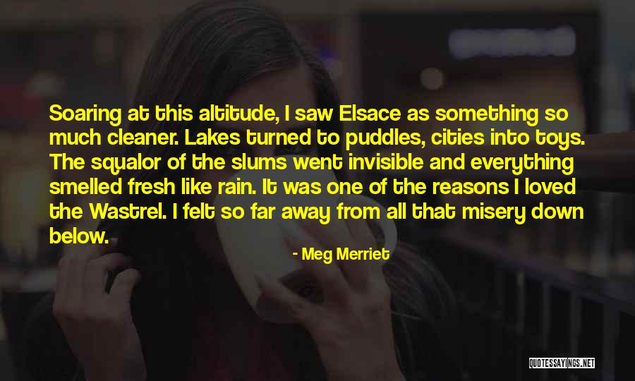 Meg Merriet Quotes 450938 Meg Merriet Quotes 450938