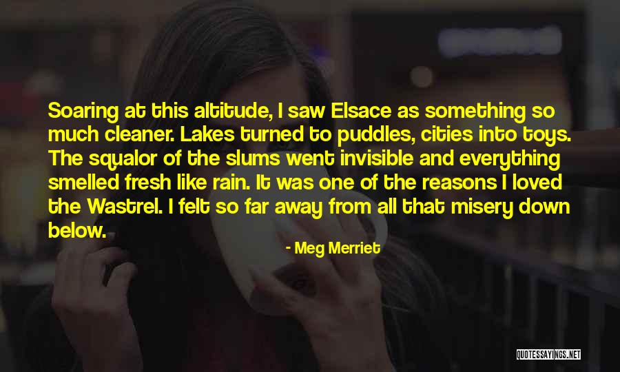 Meg Merriet Quotes 450938