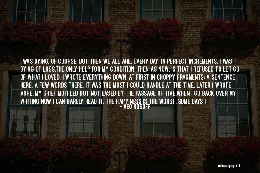 Meg Rosoff Quotes 1936551 Meg Rosoff Quotes 1936551