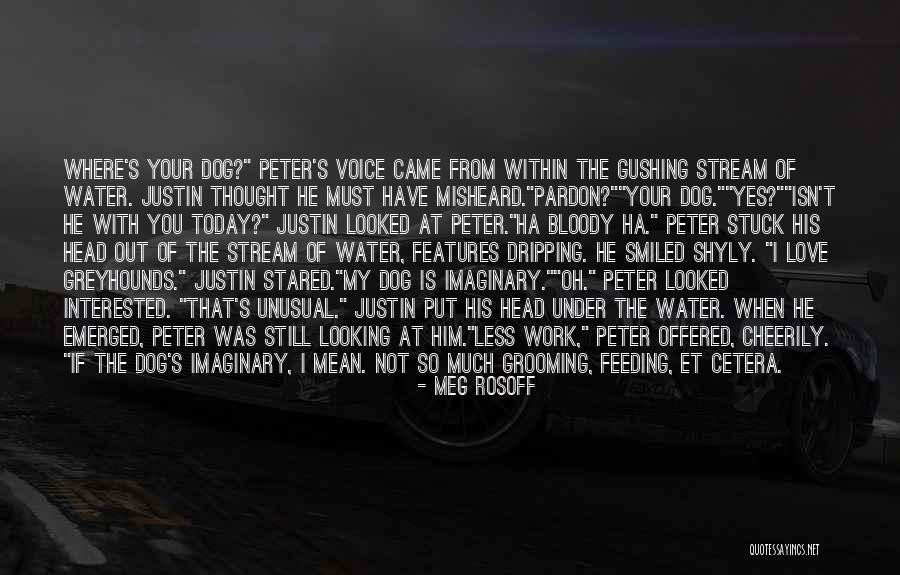Meg Rosoff Quotes 1983087 Meg Rosoff Quotes 1983087