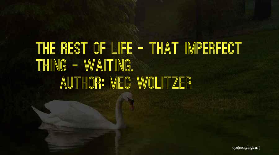Meg Wolitzer Quotes 1161224