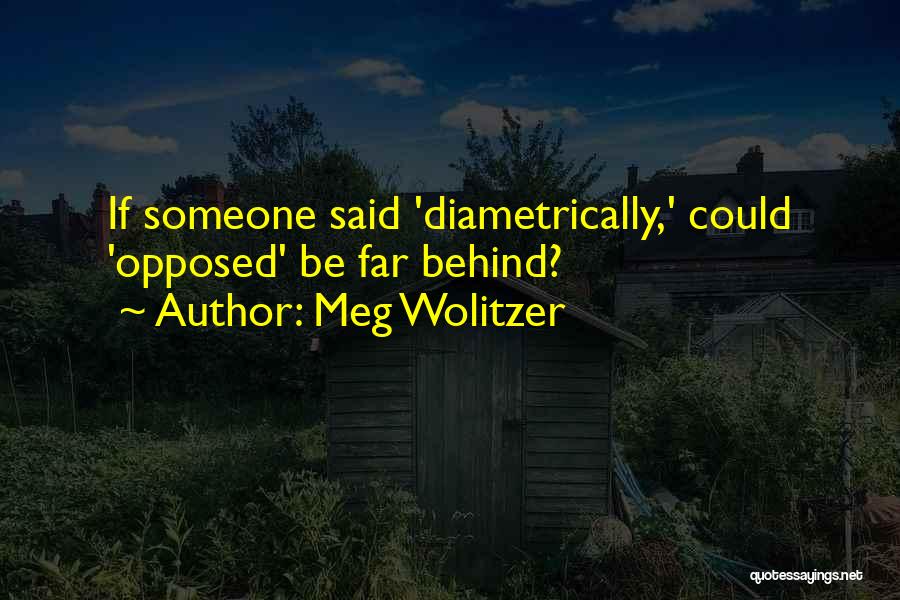 Meg Wolitzer Quotes 1164128