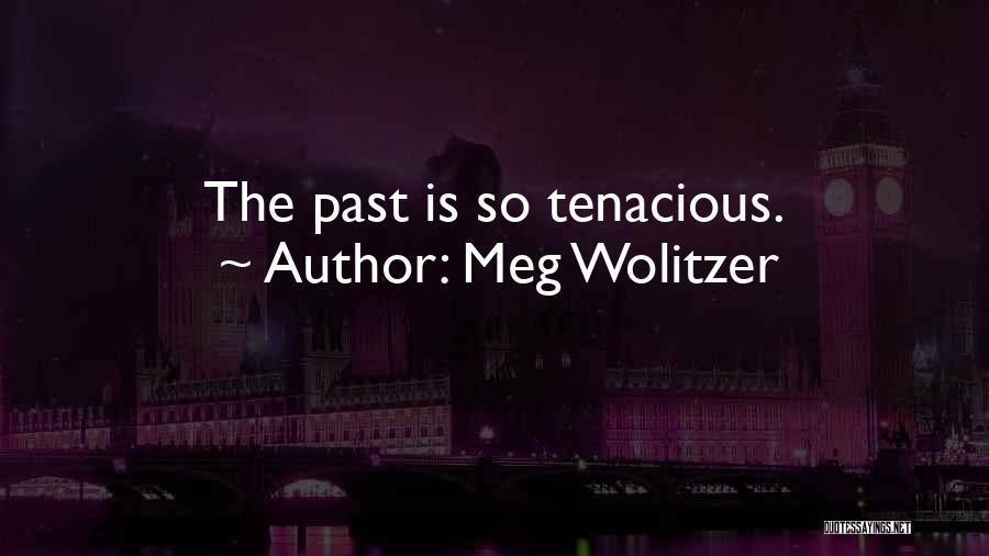 Meg Wolitzer Quotes 1348183