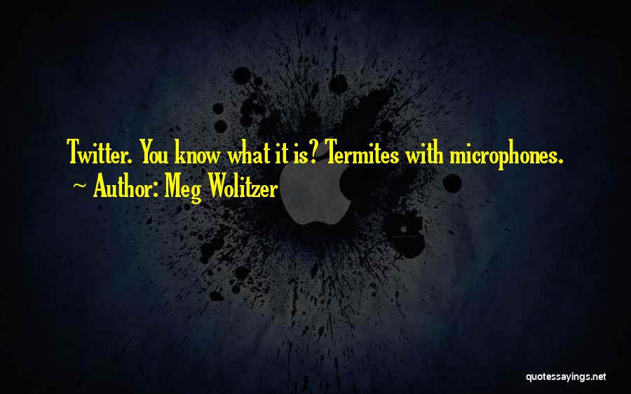 Meg Wolitzer Quotes 429540