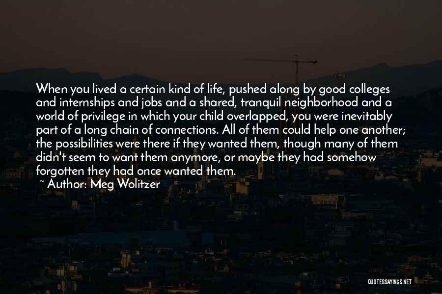 Meg Wolitzer Quotes 436635