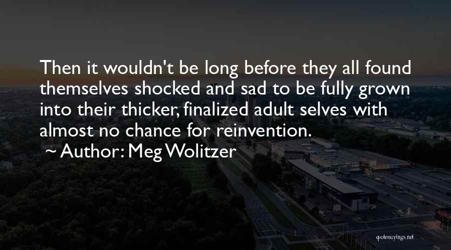 Meg Wolitzer Quotes 489275