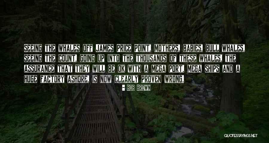 Mega Quotes By Bob Brown Mega Quotes By Bob Brown