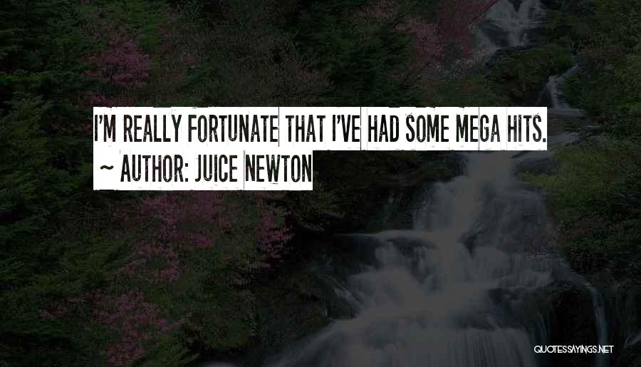 Mega Quotes By Juice Newton