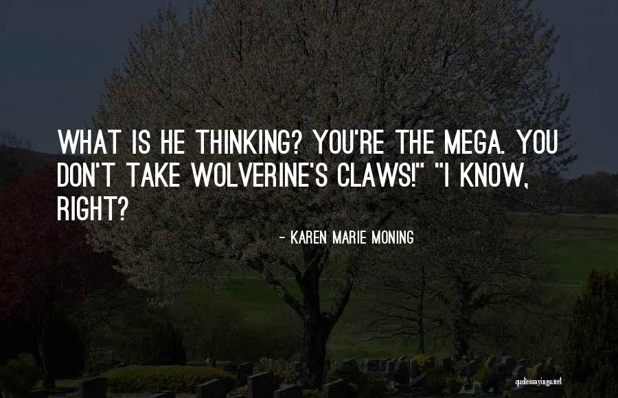 Mega Quotes By Karen Marie Moning