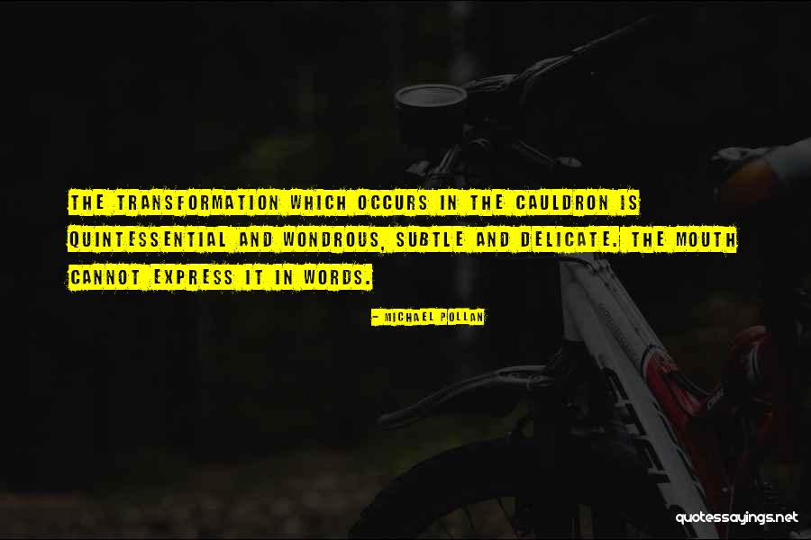Megacity Examples Quotes By Michael Pollan Megacity Examples Quotes By Michael Pollan
