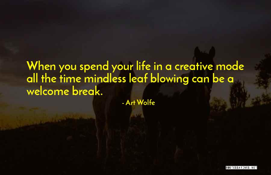 Megalong Shopping Quotes By Art Wolfe Megalong Shopping Quotes By Art Wolfe