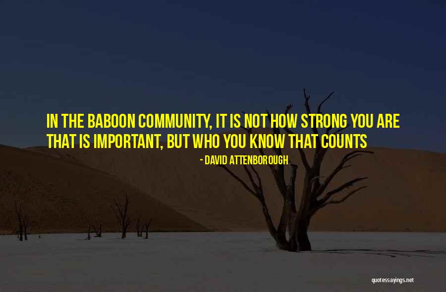 Megalong Shopping Quotes By David Attenborough Megalong Shopping Quotes By David Attenborough