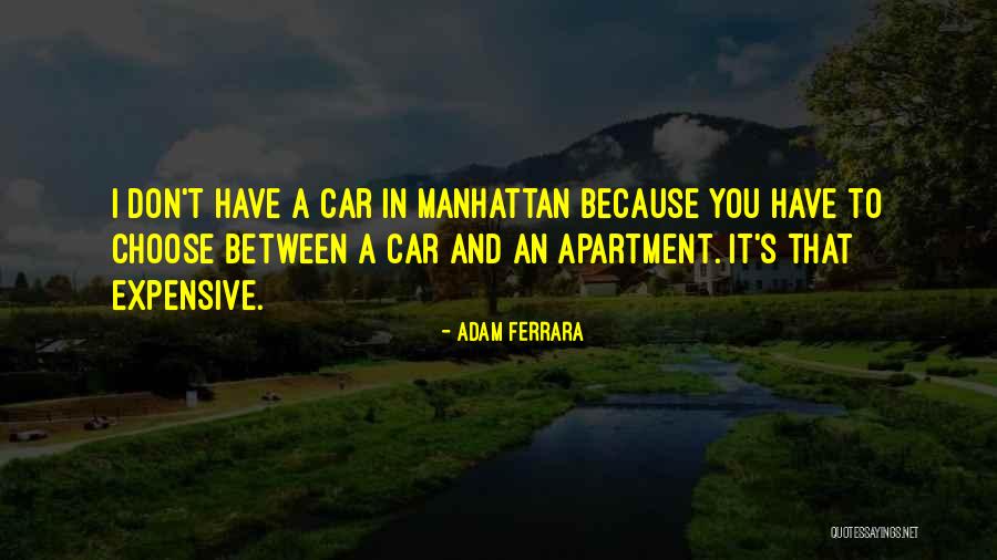 Megamation Quotes By Adam Ferrara Megamation Quotes By Adam Ferrara