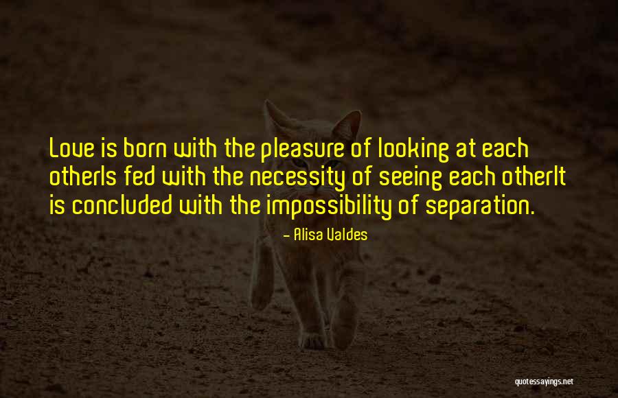 Megamouth Quotes By Alisa Valdes Megamouth Quotes By Alisa Valdes