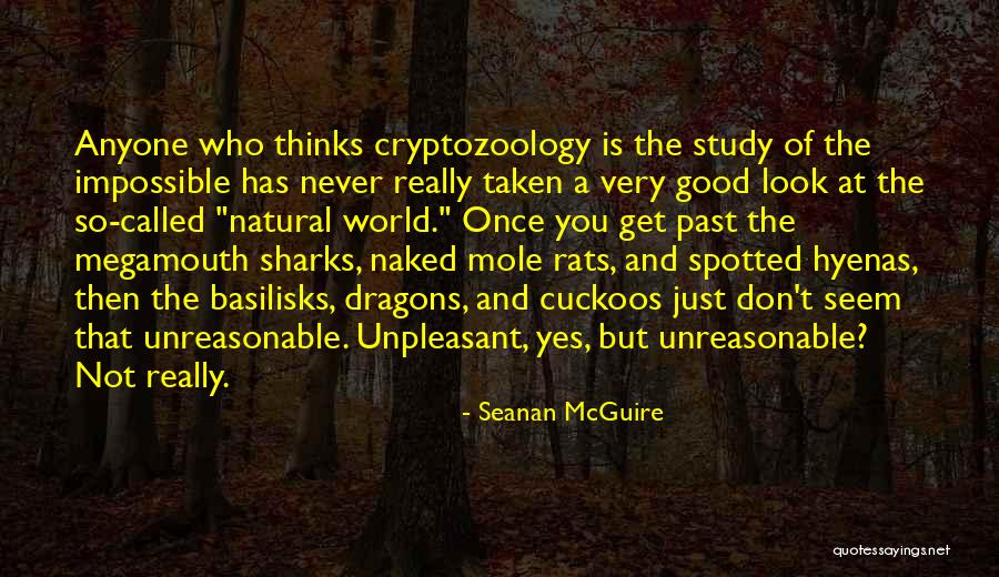 Megamouth Quotes By Seanan McGuire Megamouth Quotes By Seanan McGuire
