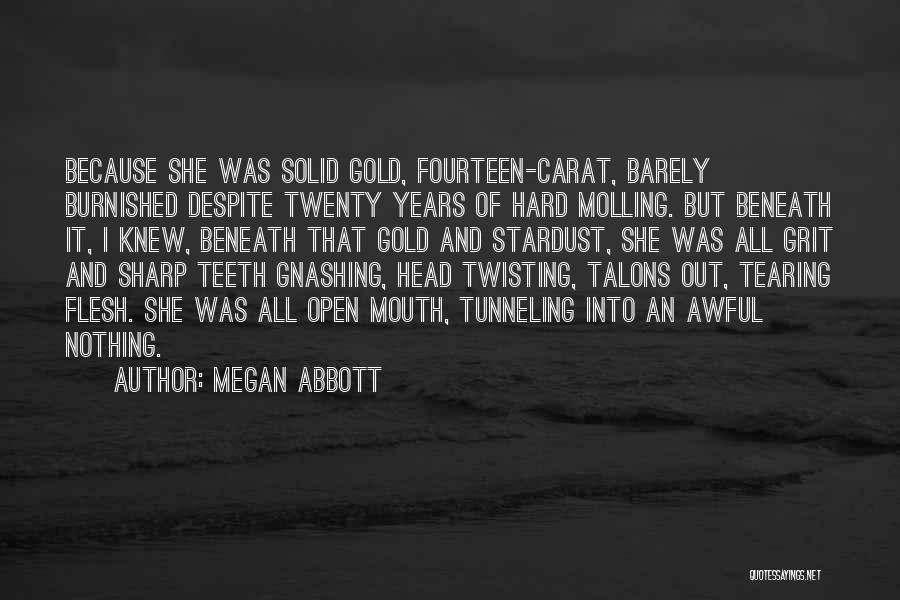 Megan Abbott Quotes 2203430