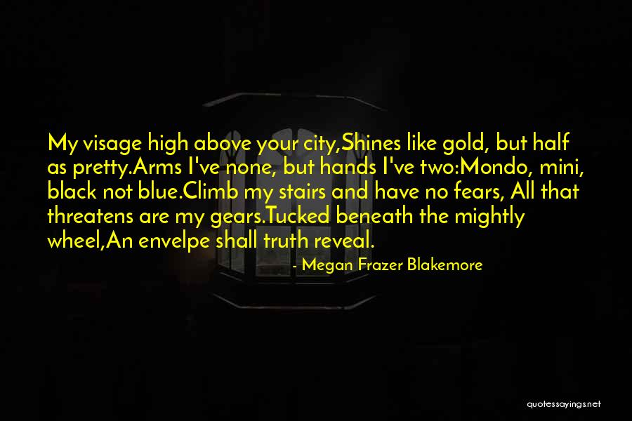 Megan Frazer Blakemore Quotes 1658216