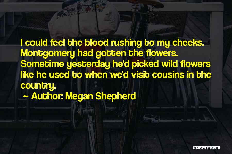 Megan Shepherd Quotes 1051946