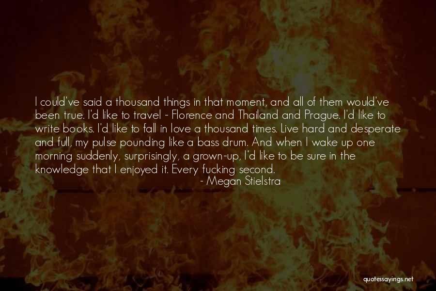 Megan Stielstra Quotes 1321572 Megan Stielstra Quotes 1321572