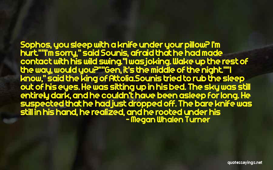 Megan Whalen Turner Quotes 1966456 Megan Whalen Turner Quotes 1966456