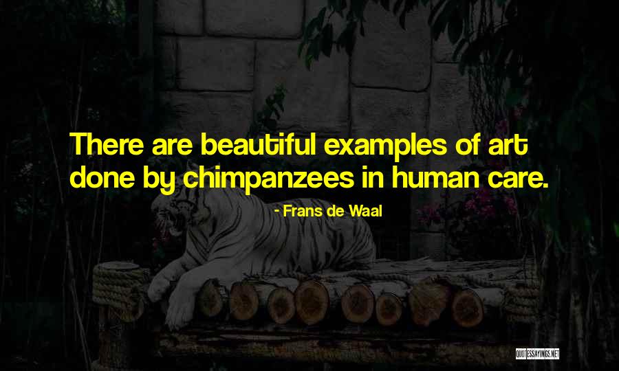 Megane Rs Quotes By Frans De Waal Megane Rs Quotes By Frans De Waal