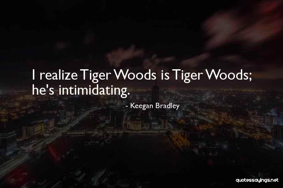 Megatron Cartoon Quotes By Keegan Bradley Megatron Cartoon Quotes By Keegan Bradley