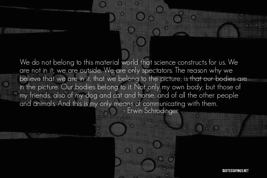 Megger Tool Quotes By Erwin Schrodinger Megger Tool Quotes By Erwin Schrodinger