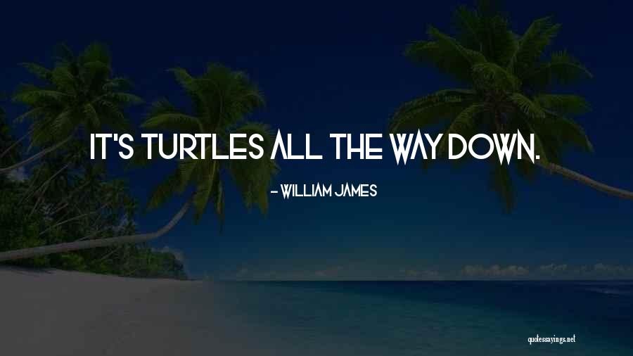 Meggitt Polymers Quotes By William James