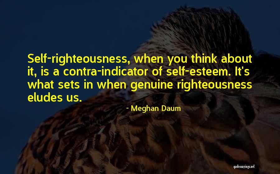 Meghan Daum Quotes 150402