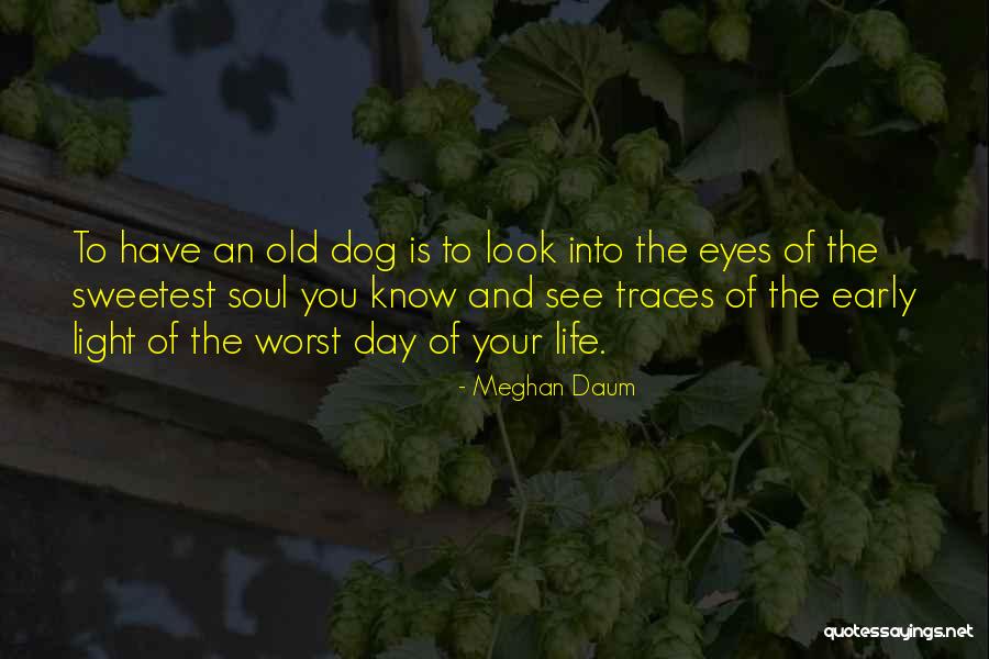 Meghan Daum Quotes 1769106 Meghan Daum Quotes 1769106