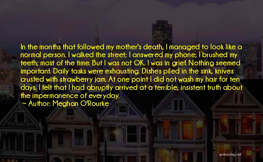 Meghan O'Rourke Quotes 1993537