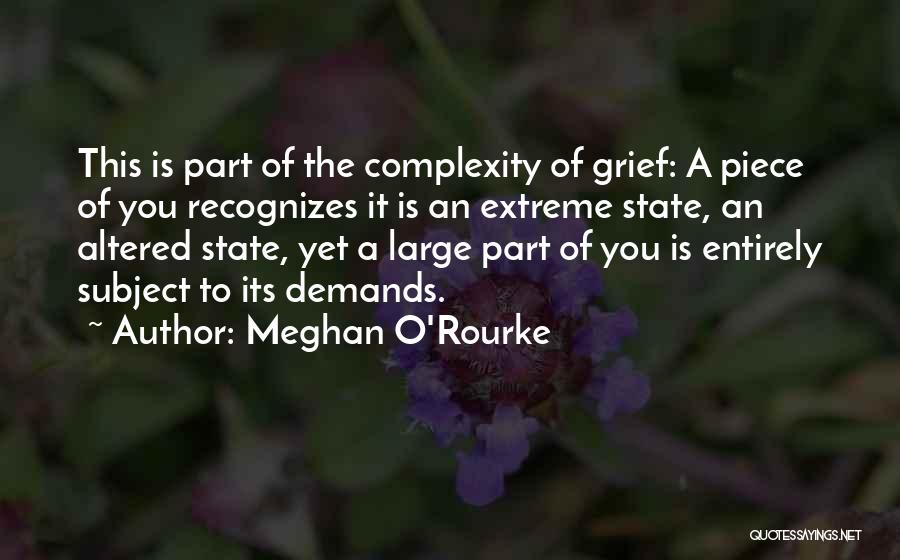 Meghan O'Rourke Quotes 2024948