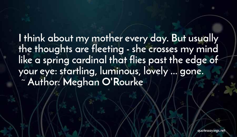 Meghan O'Rourke Quotes 2177250
