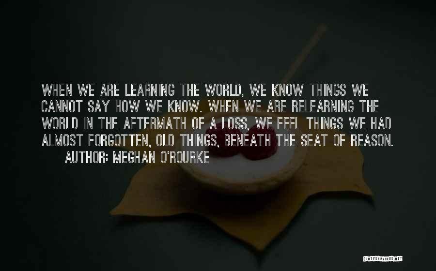 Meghan O'Rourke Quotes 836400