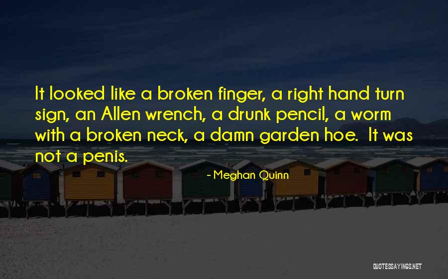 Meghan Quinn Quotes 1440719